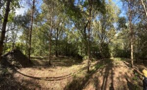 Leśna wioska - deweloperskie osiedle domów - prywatny las