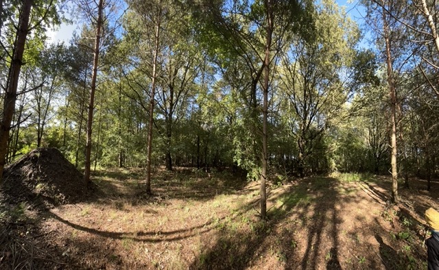 Leśna wioska - deweloperskie osiedle domów - prywatny las